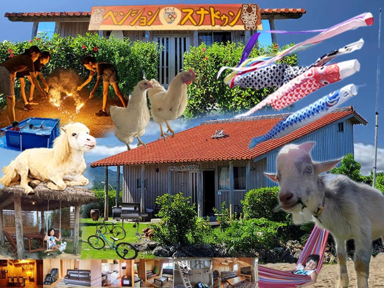 Ginoza Pension Snadun מראה חיצוני תמונה